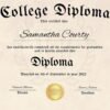 A prestigious college diploma template adorned with a gleaming gold seal, perfect for commemorating academic achievements.