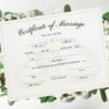 Marriage License on White Background with Green Leaves